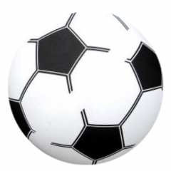 PVC Ball Fuball 20cm