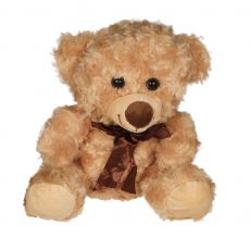 Plsch Br mit Schleife Motti 20cm