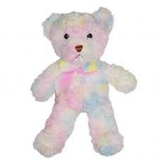 Pl�sch B�r Rainbow 27cm