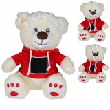 Pl�sch B�r mit Hoodie GEO 25cm